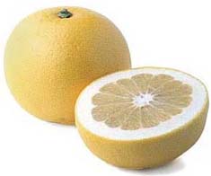 Citrus Grapefruit 'Oroblanco' Standard