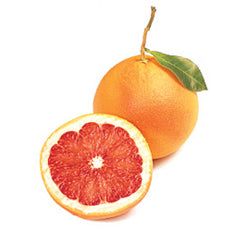 Citrus Grapefruit 'Rio Red' Standard