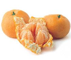 Citrus Mandarin 'Satsuma' Standard ('Owari')