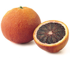 Citrus Orange 'Moro Blood' Standard