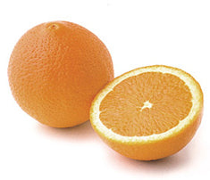 Citrus Orange 'Washington Navel' Standard